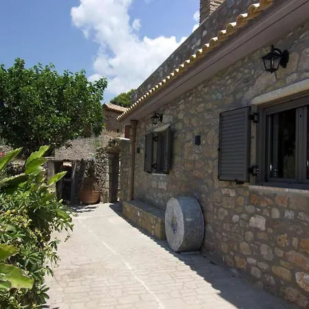 Riglia's Dream Catcher Riglia