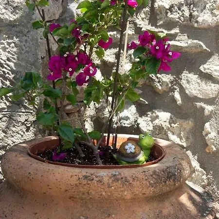 Nyaraló Riglia's Dream Catcher *