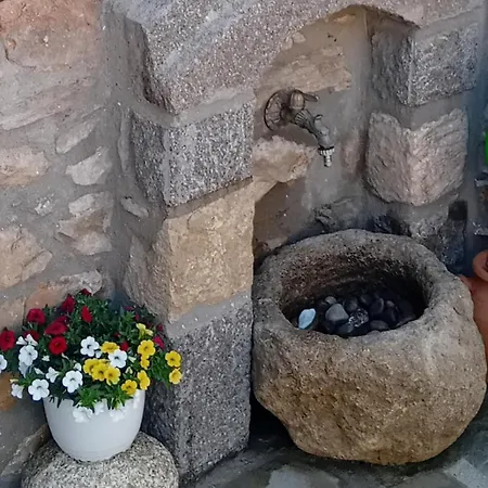 Riglia's Dream Catcher *