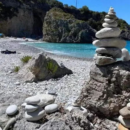 Riglia's Dream Catcher * Riglia