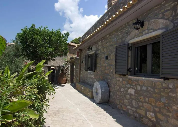 Riglia's Dream Catcher Riglia