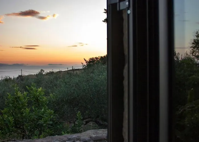 Riglia's Dream Catcher *