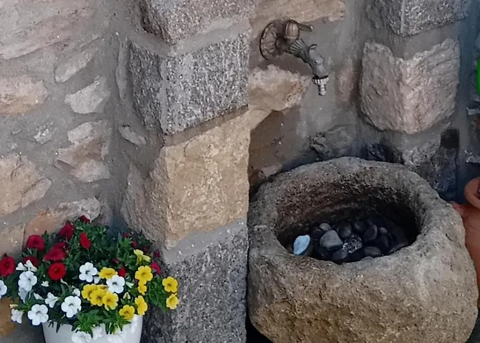 Riglia's Dream Catcher *